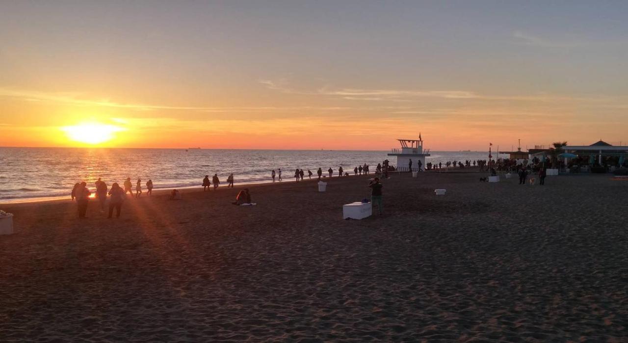 From Ostia Beach To Rome & Airport In A Heartbeat! Dış mekan fotoğraf